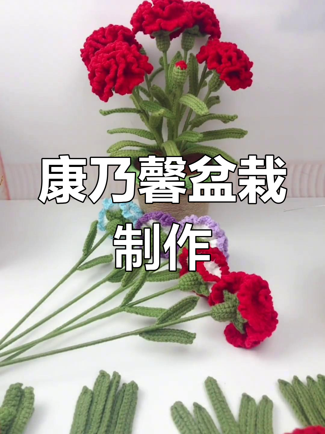 康乃馨的花结构图片