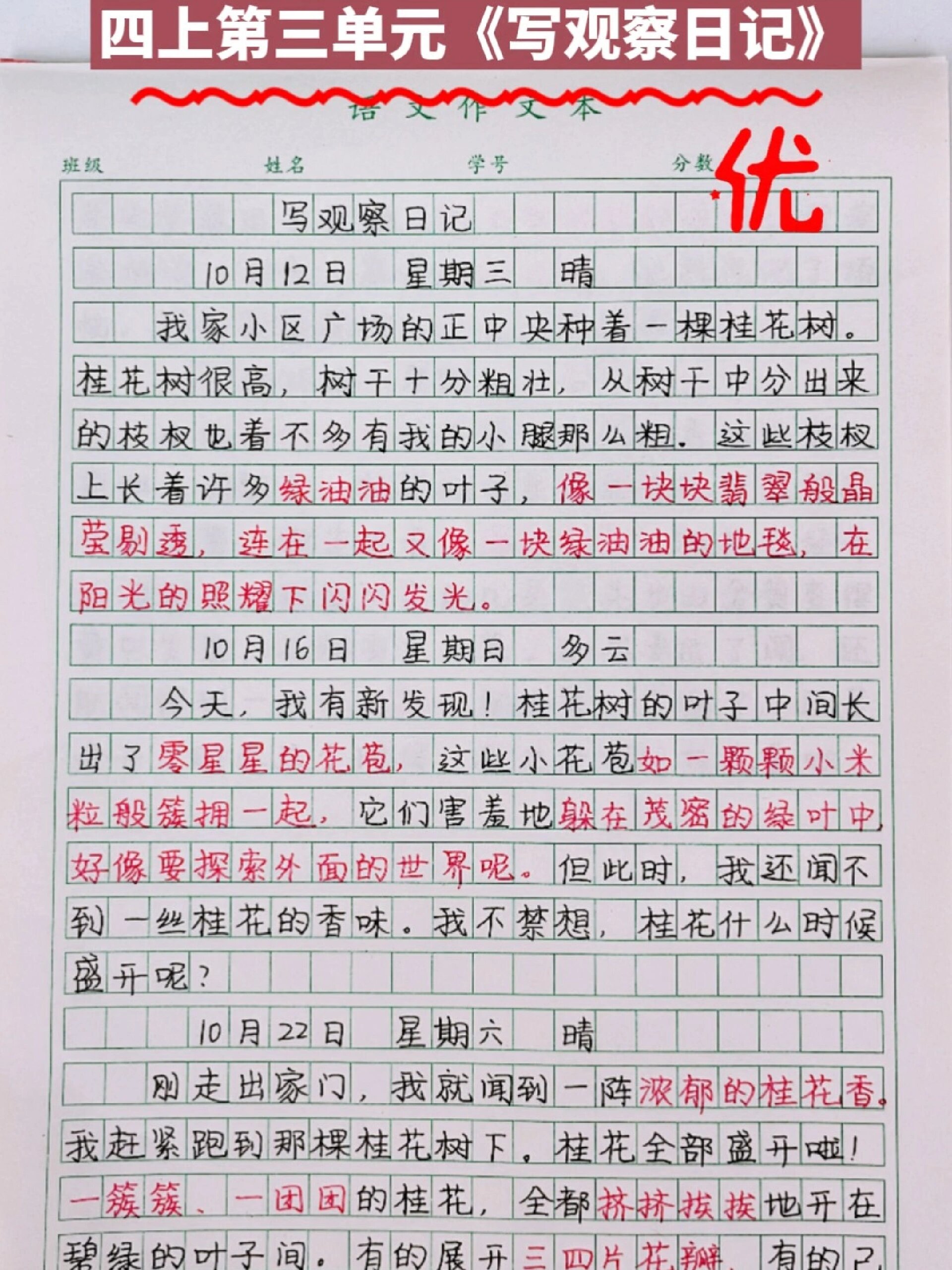 观察日记两则作文(观察日记两则作文 三年级)