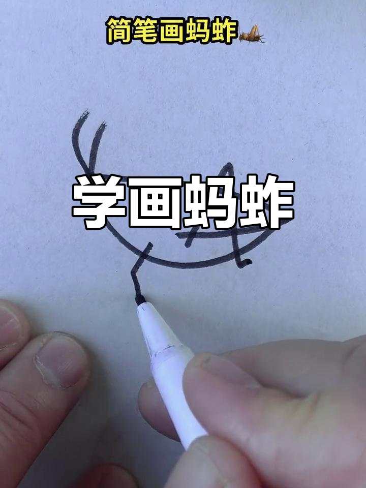 简单几步画出蚂蚱