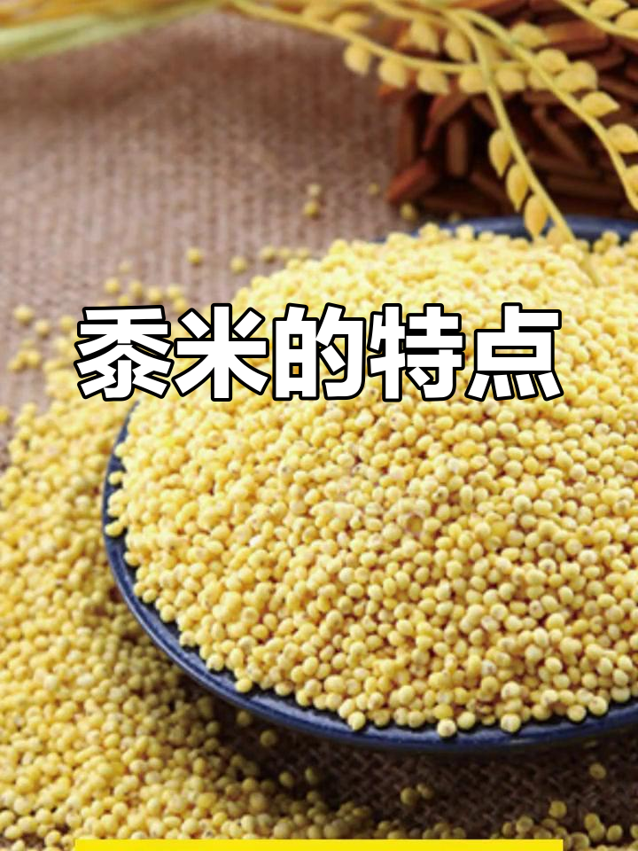 黍米的种类与用途