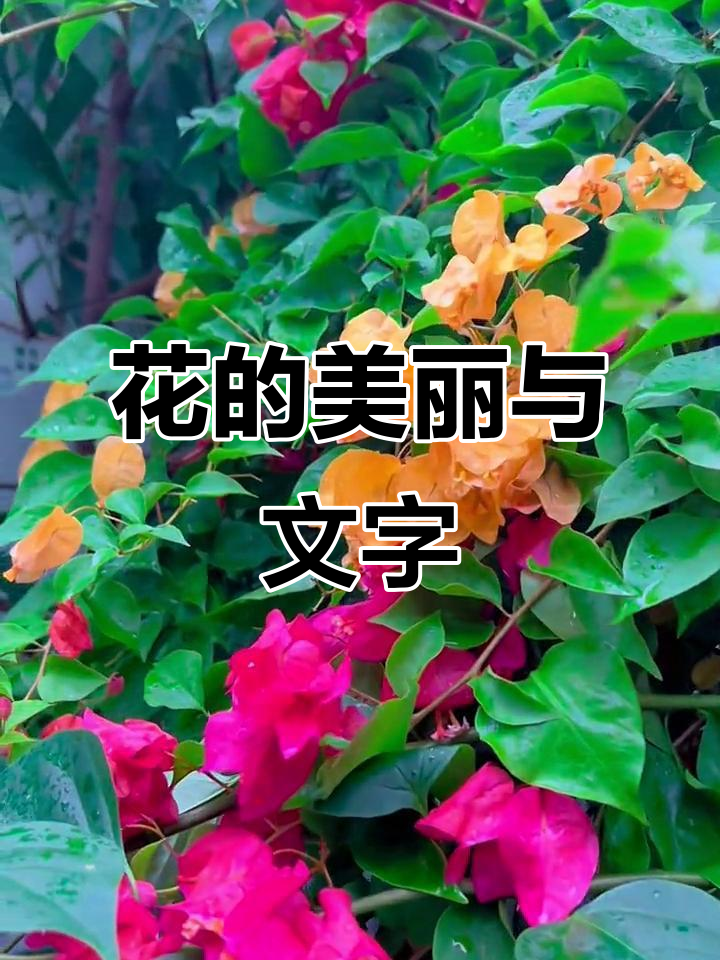 多读书,才能用更美的语言描述这姹紫嫣红的花朵