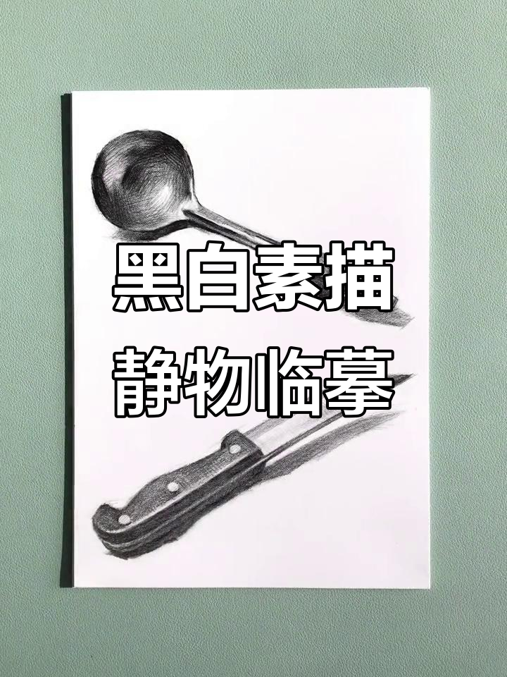 黑白素描静物临摹卡,250克铜版纸双面打印,细节清晰