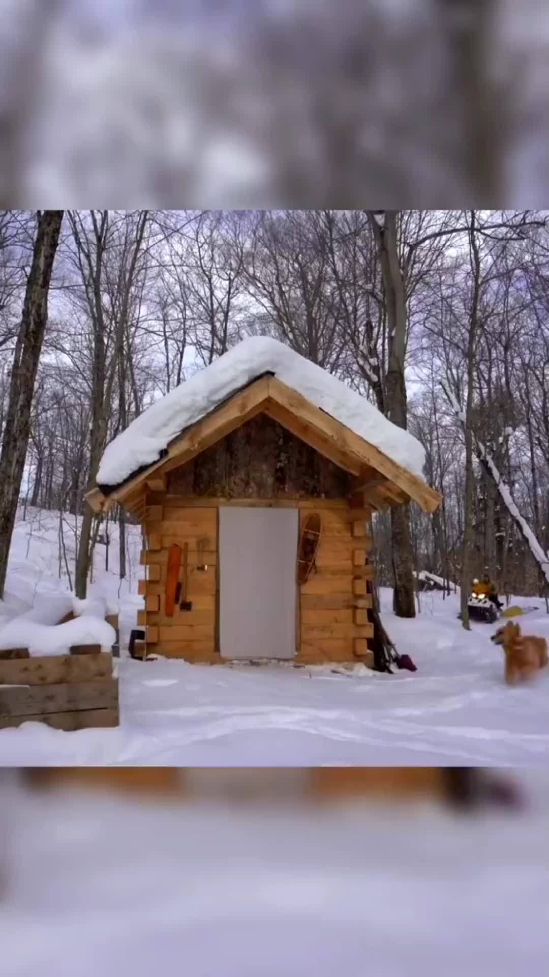 创作灵感 制作木屋门 荒野建造 徒手建造房屋 野外生存 户外