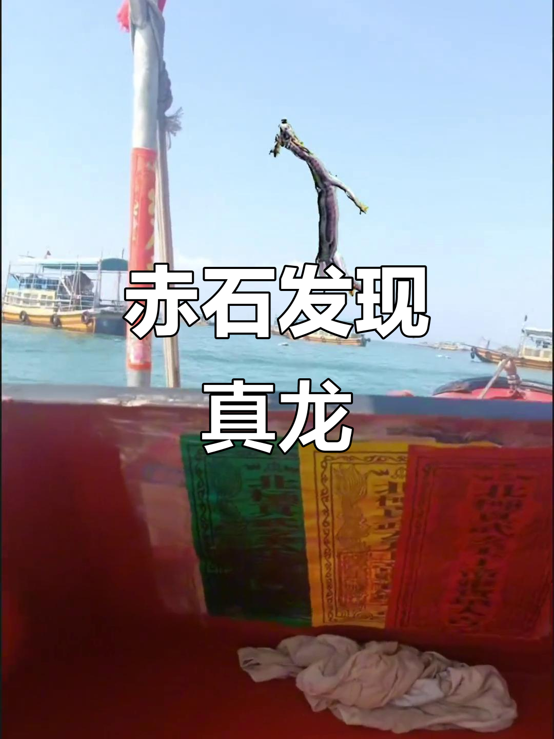 赤石山现真龙,检察员紧急出动