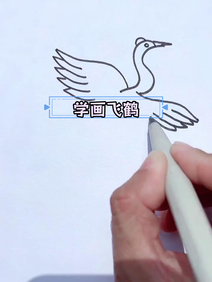 飞翔的丹顶鹤简笔画教程
