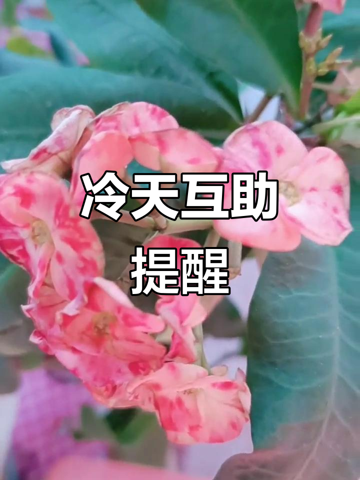 承德天气