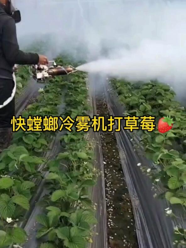 快螳螂冷雾机大棚草莓打药