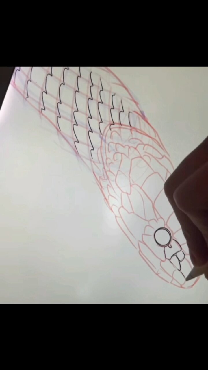 教你如何快速画蛇鳞