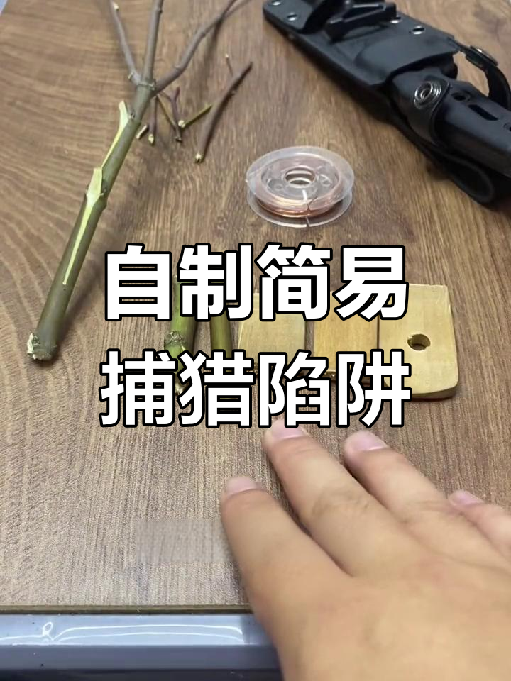 十种绳套陷阱图片