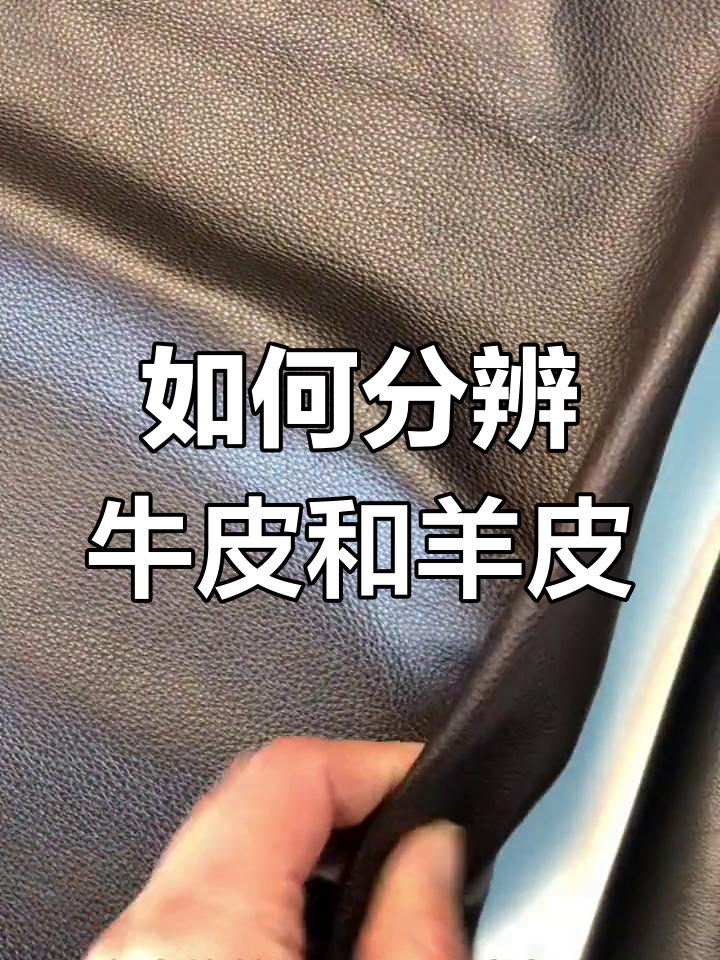 牛皮与羊皮的辨别技巧