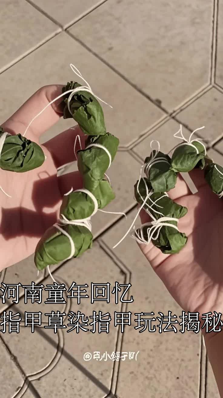 河南童年回忆指甲草染指甲玩法揭秘
