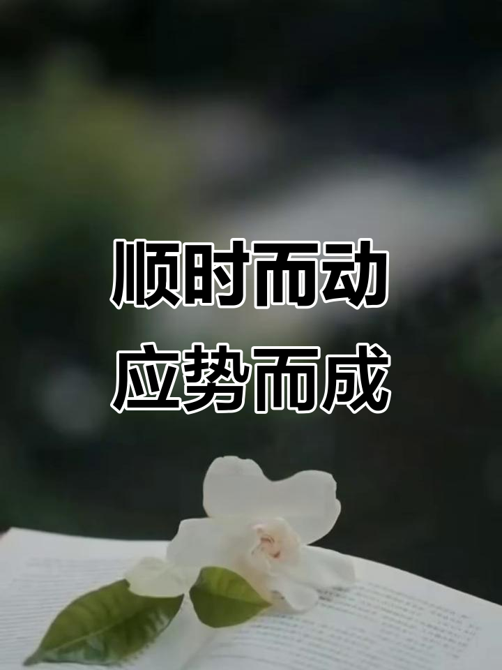 顺势而为,智者之道:如何把握时机成就大事