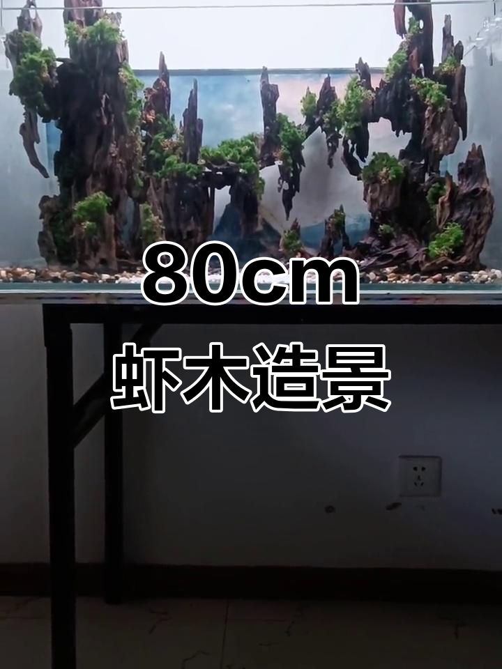 80厘米仙侠风虾木造景骨架,打造水陆缸微景观