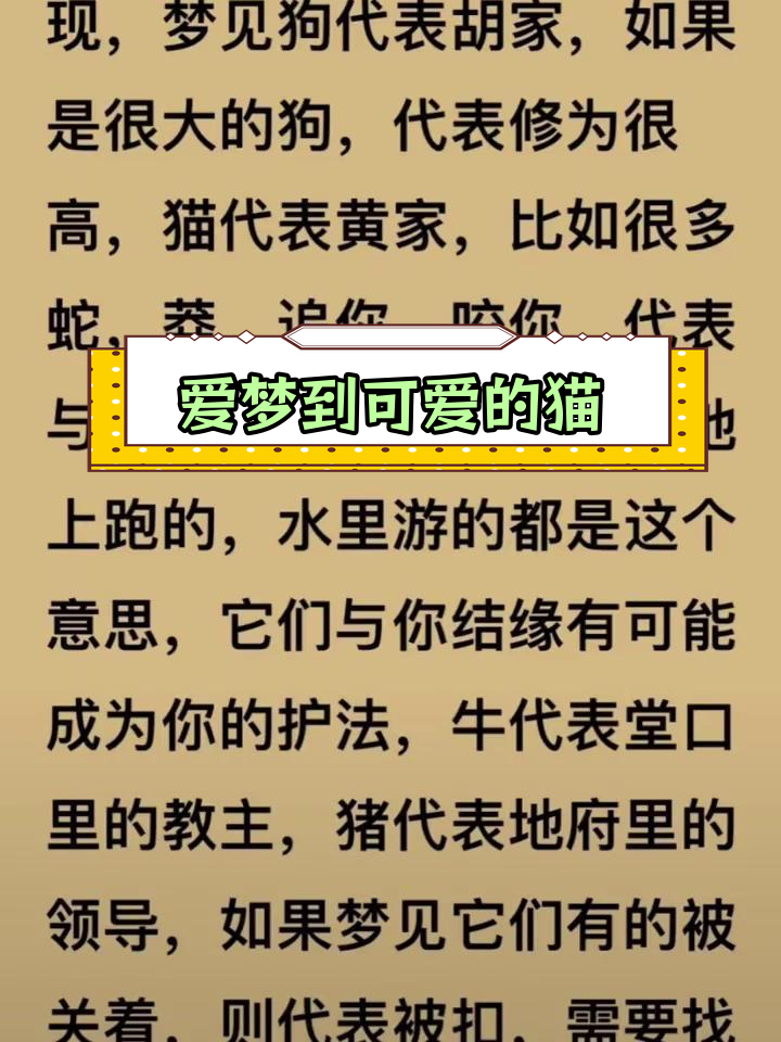 女人梦见猫是什么预兆图片