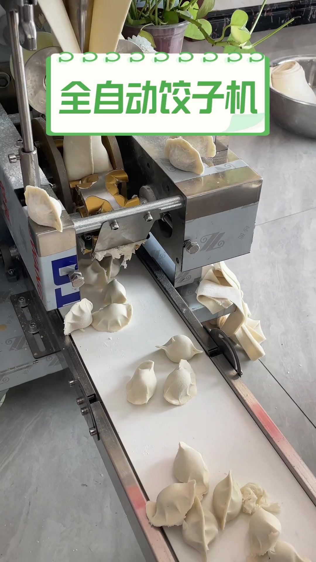 全自动饺子机