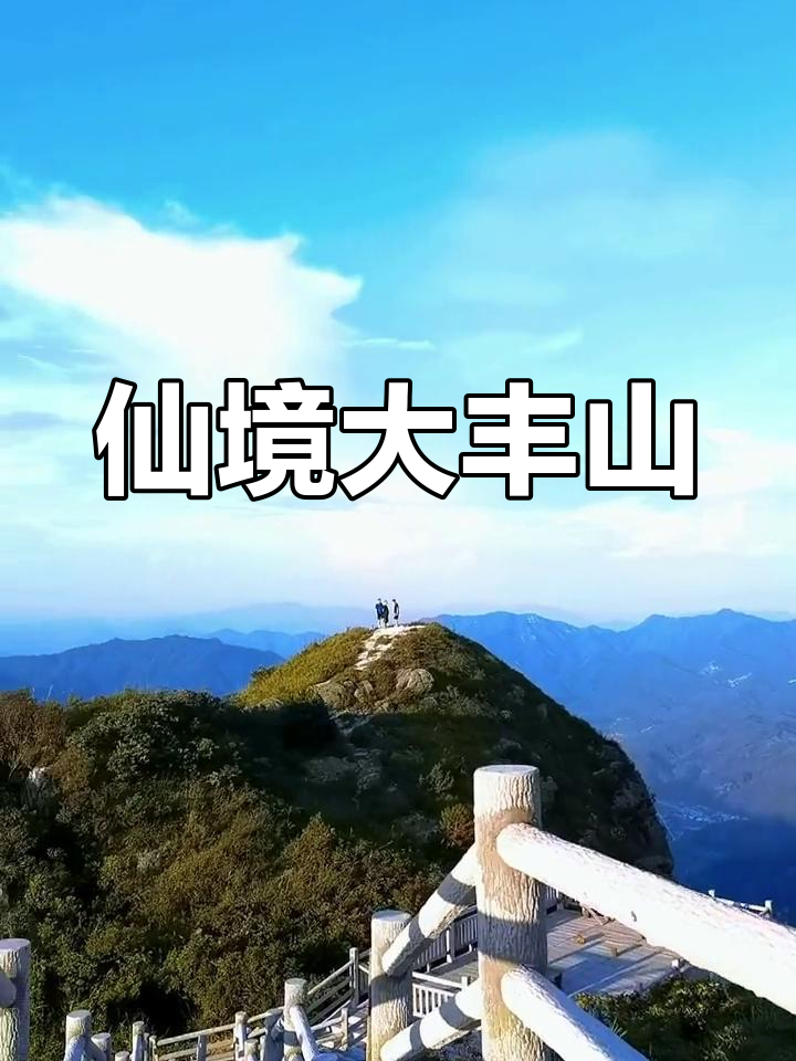 大丰山美景,松林,草地与云海交织,宛如仙境