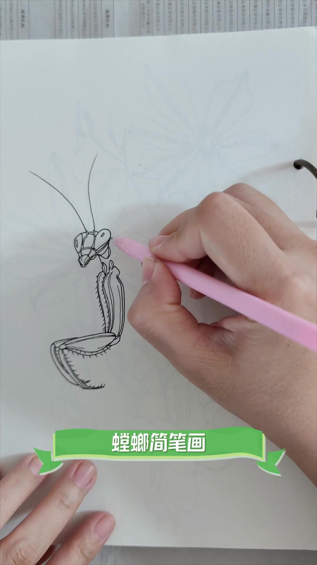螳螂简笔画