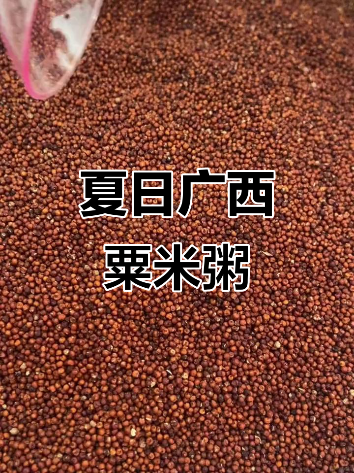 广西夏季最爱的粟米粥,香气扑鼻让人怀念