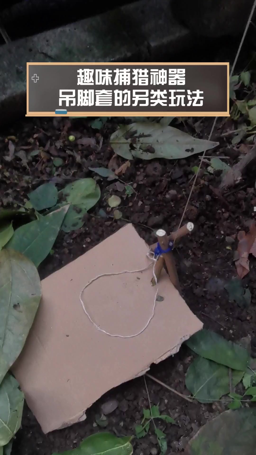 趣味捕猎神器,吊脚套的另类玩法