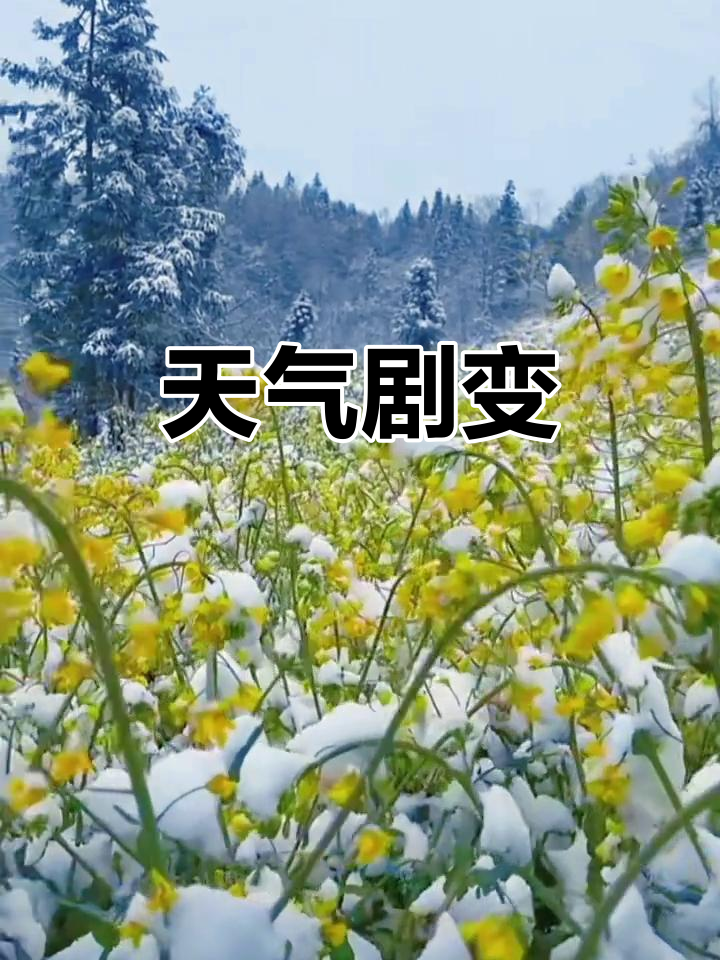 天气安康天气