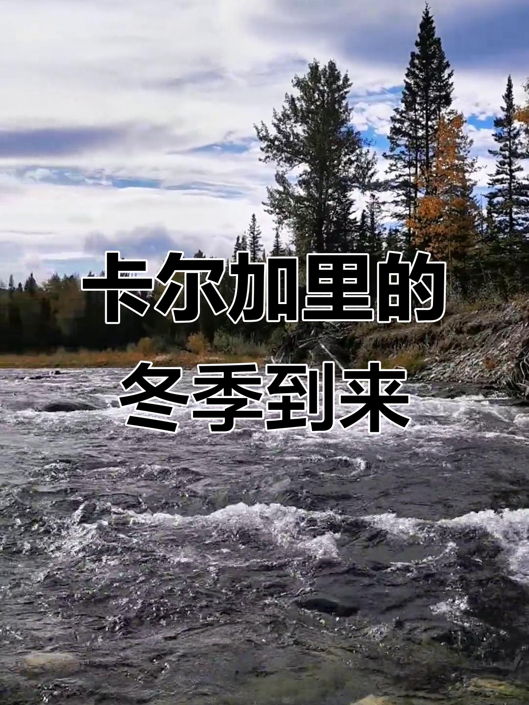 加拿大卡尔加里留学