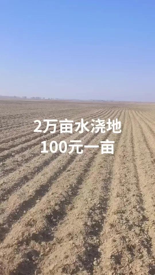 种啥一亩地赚2万(种啥一亩地赚2万元)
