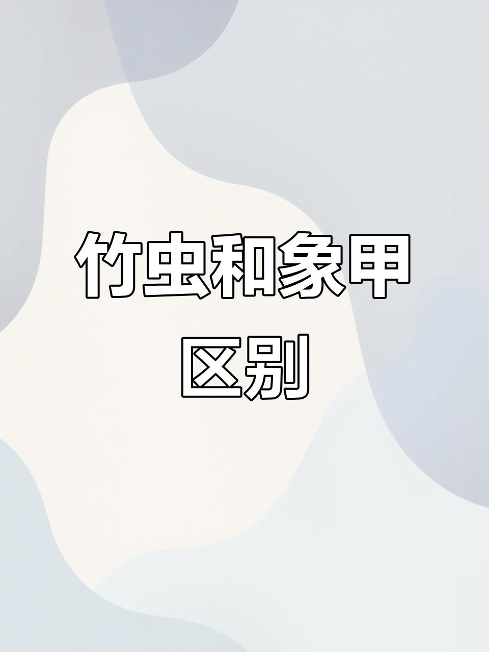 竹虫与红棕象甲大揭秘:如何分辨公母特征