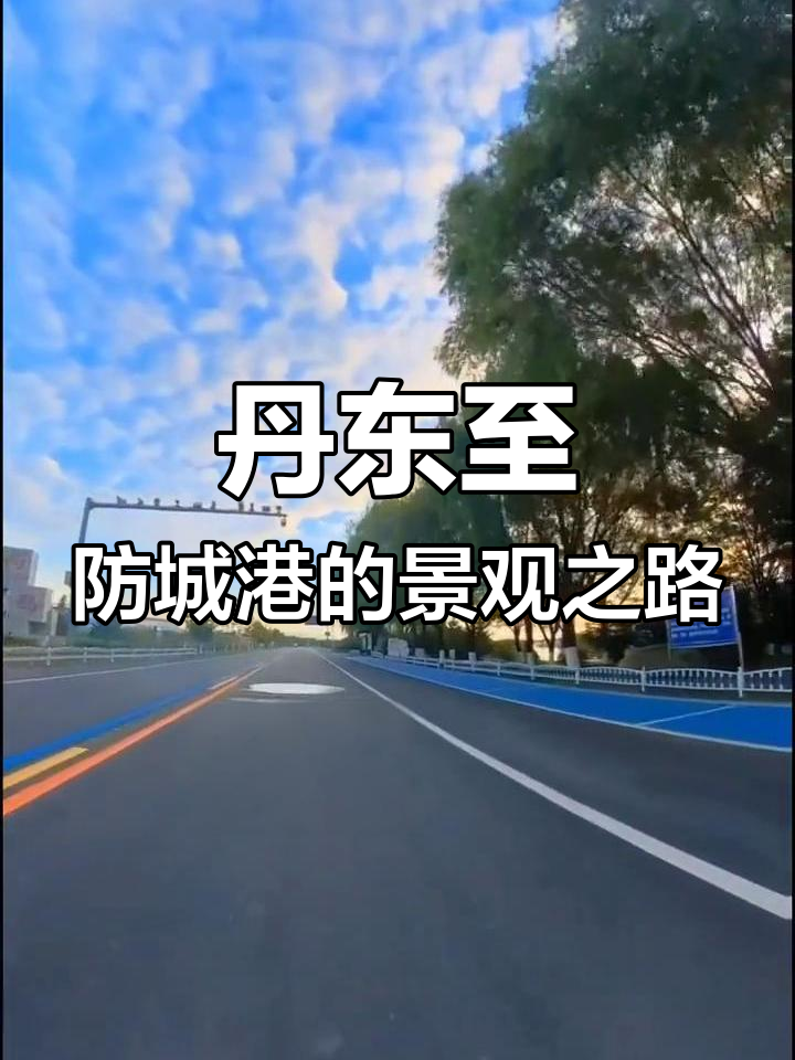 连云港新光路228国道图片