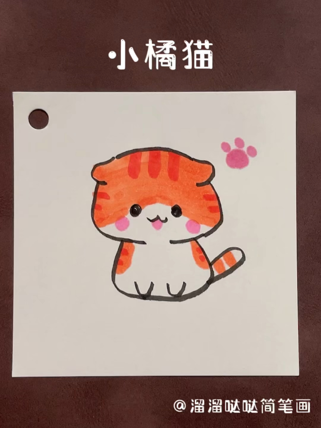 画小猫咪简笔画 彩色图片