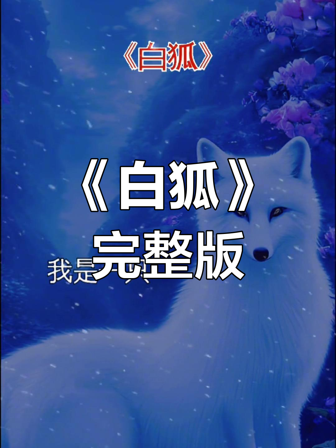 白狐歌曲原唱(白狐歌曲)