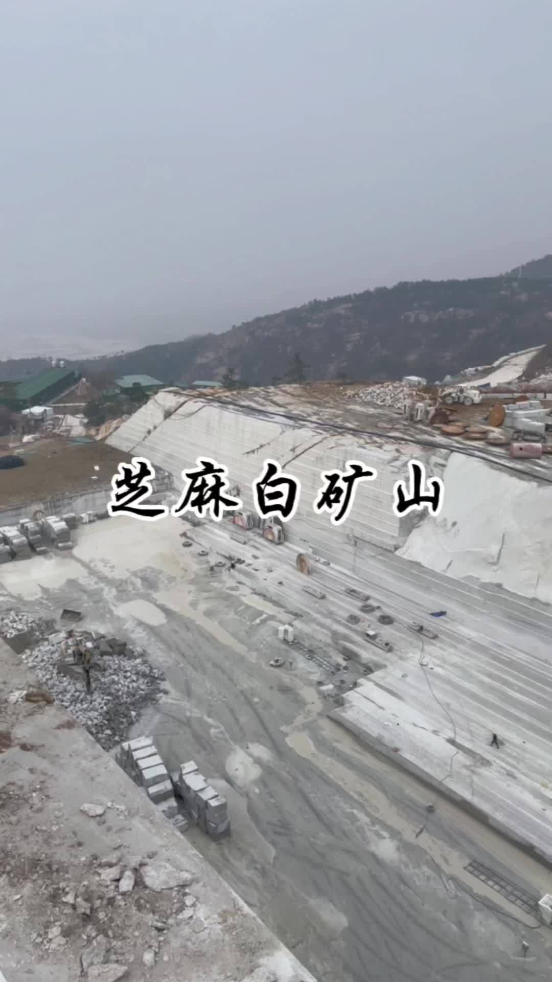 麻城白鸭山,花岗岩石材开采 麻城芝麻白 麻城芝麻白厂家 芝麻白厂家