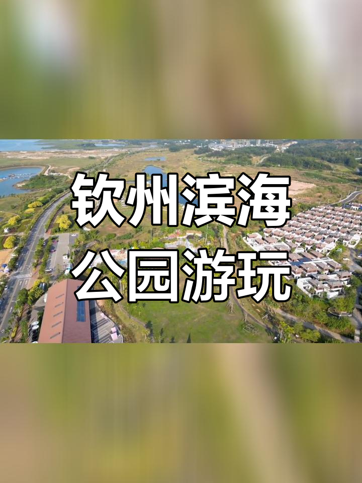钦州滨海公园:周末露营与玩水的好去处