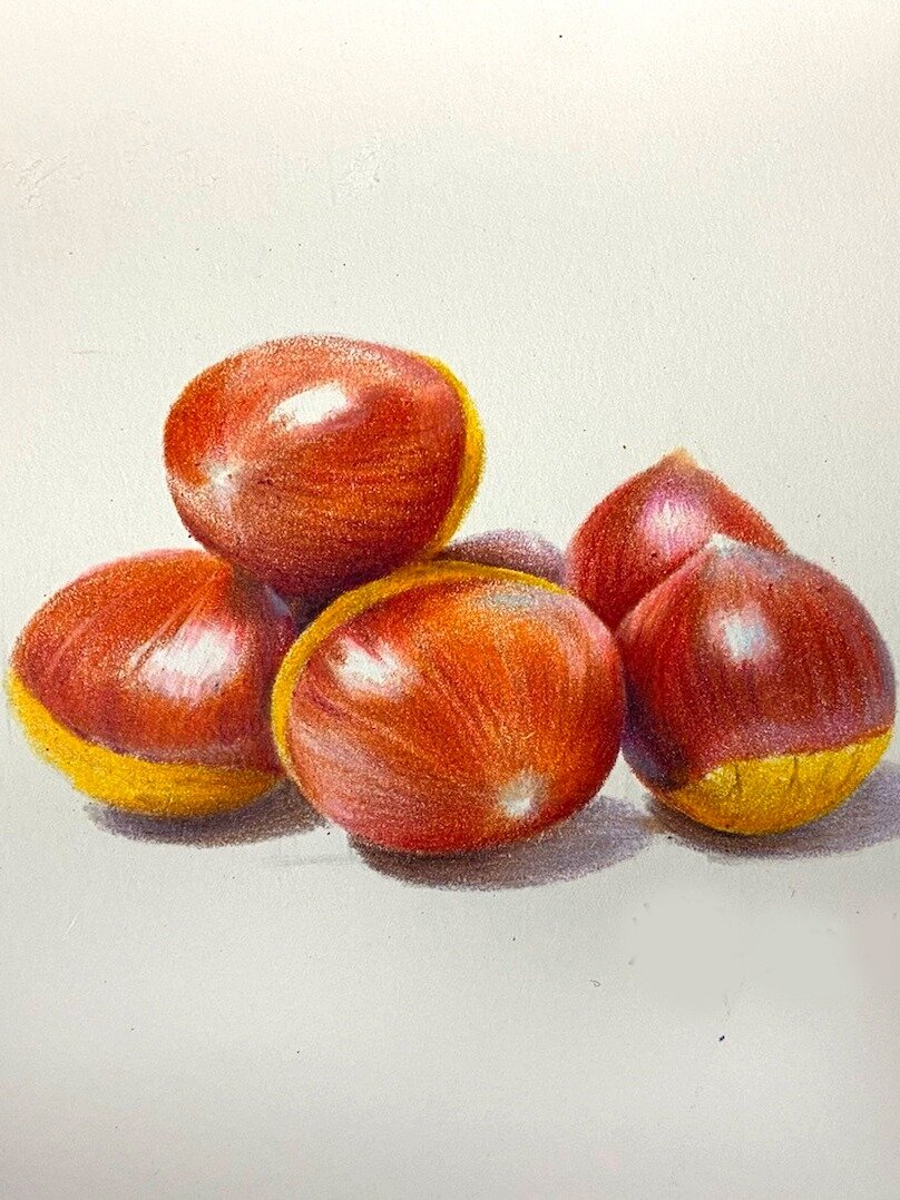 超详细的彩铅板栗教程,全过程详细到位!