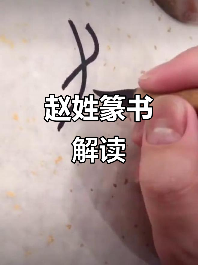 篆书赵姓书法解析:从古文字到现代艺术