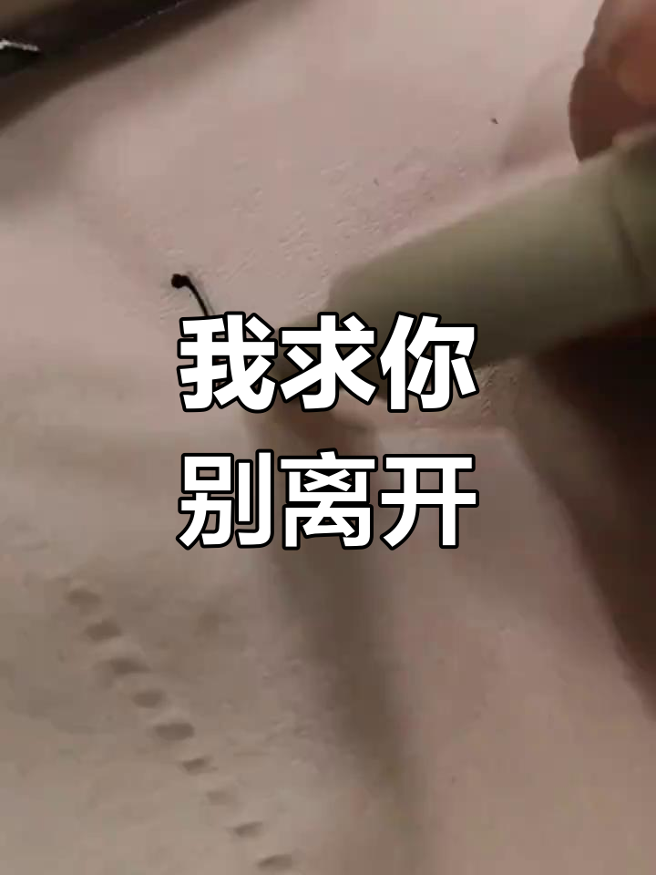 不要走,我求你了!情感手写表达