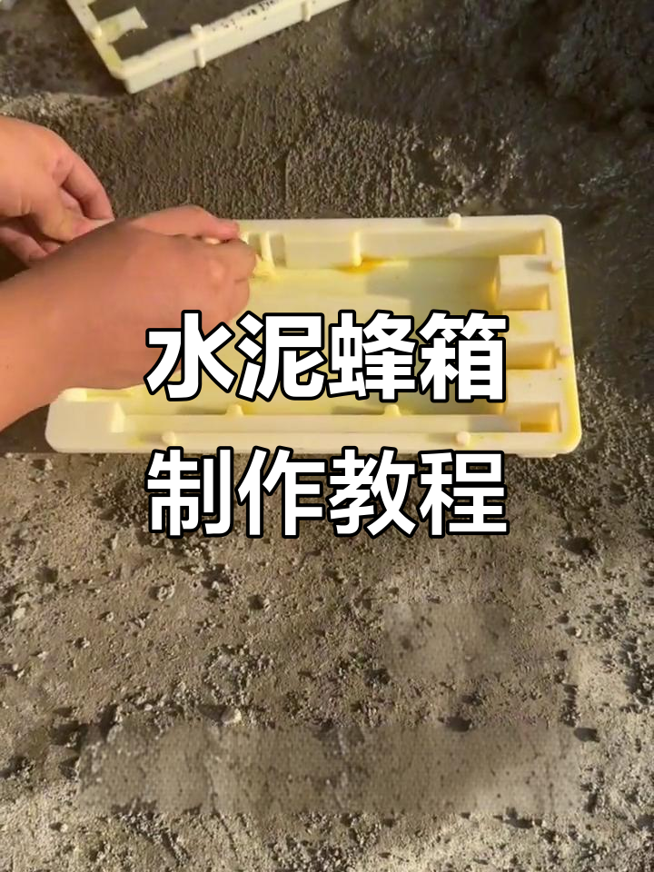 用水泥砂浆打造蜂箱,简单又实用!