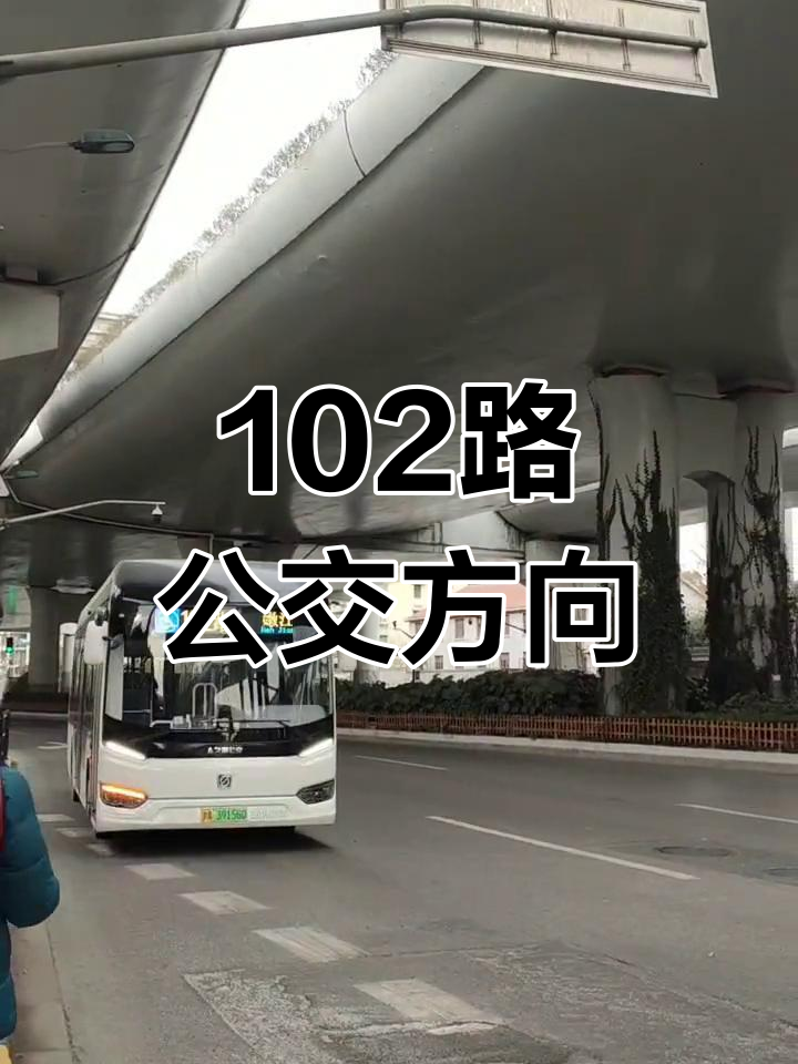 浦东102路公交车路线图图片