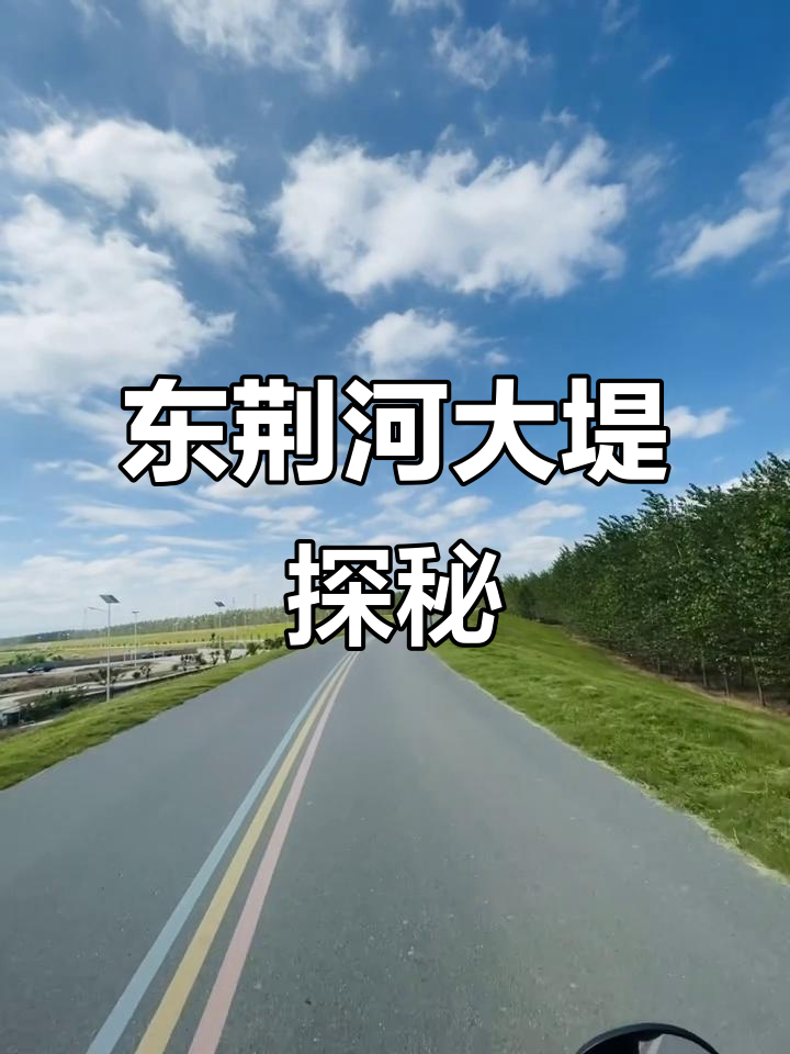 潜江阿勒泰东荆河大堤:一场梦境与现实的奇妙碰撞