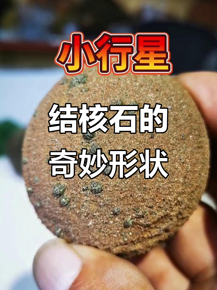 石胆是结核石的一种,形态各异,或火山喷发或太空坠落形成