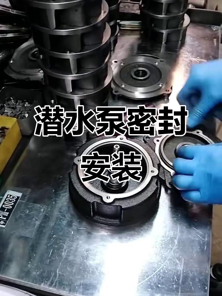 潜水泵机械密封安装全流程演示