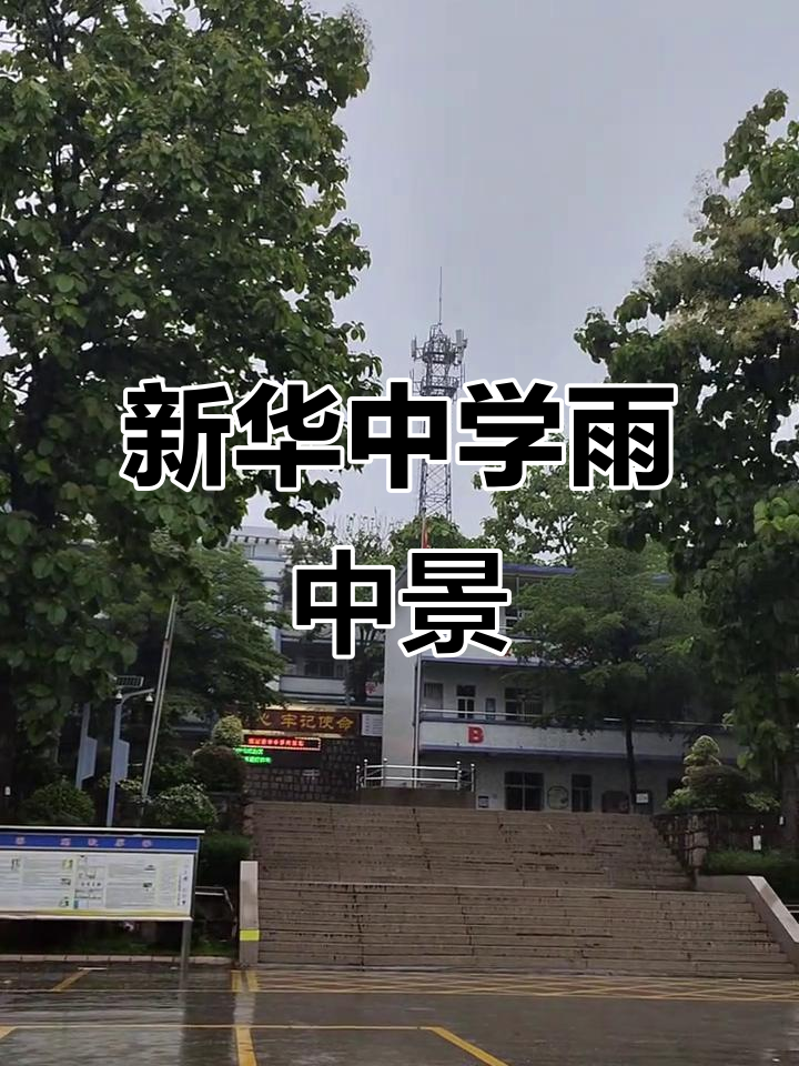暴雨中的新华中学,美丽校园如画