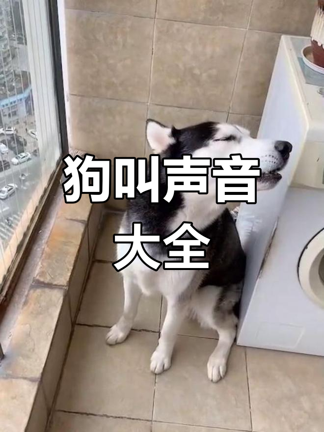 狗狗搞笑叫声大集合,萌翻了!