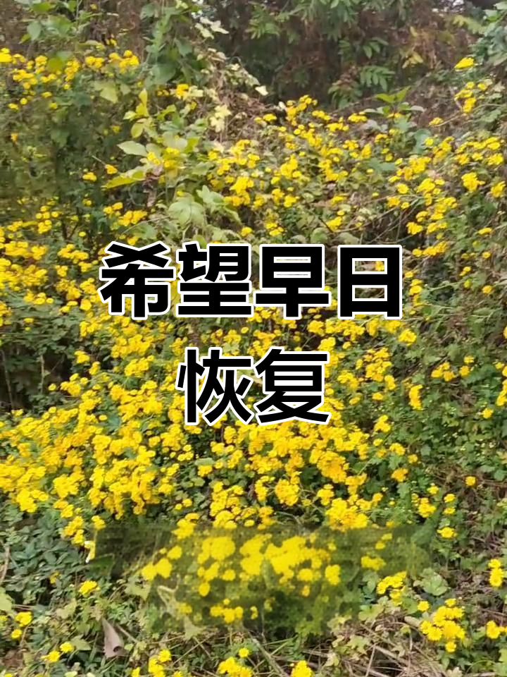 疫情终将过去图片