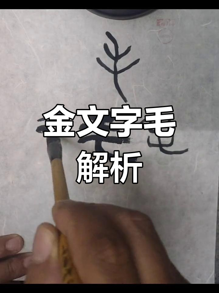 甲骨文"毛"字与羽的区别,金文的象形写法揭秘