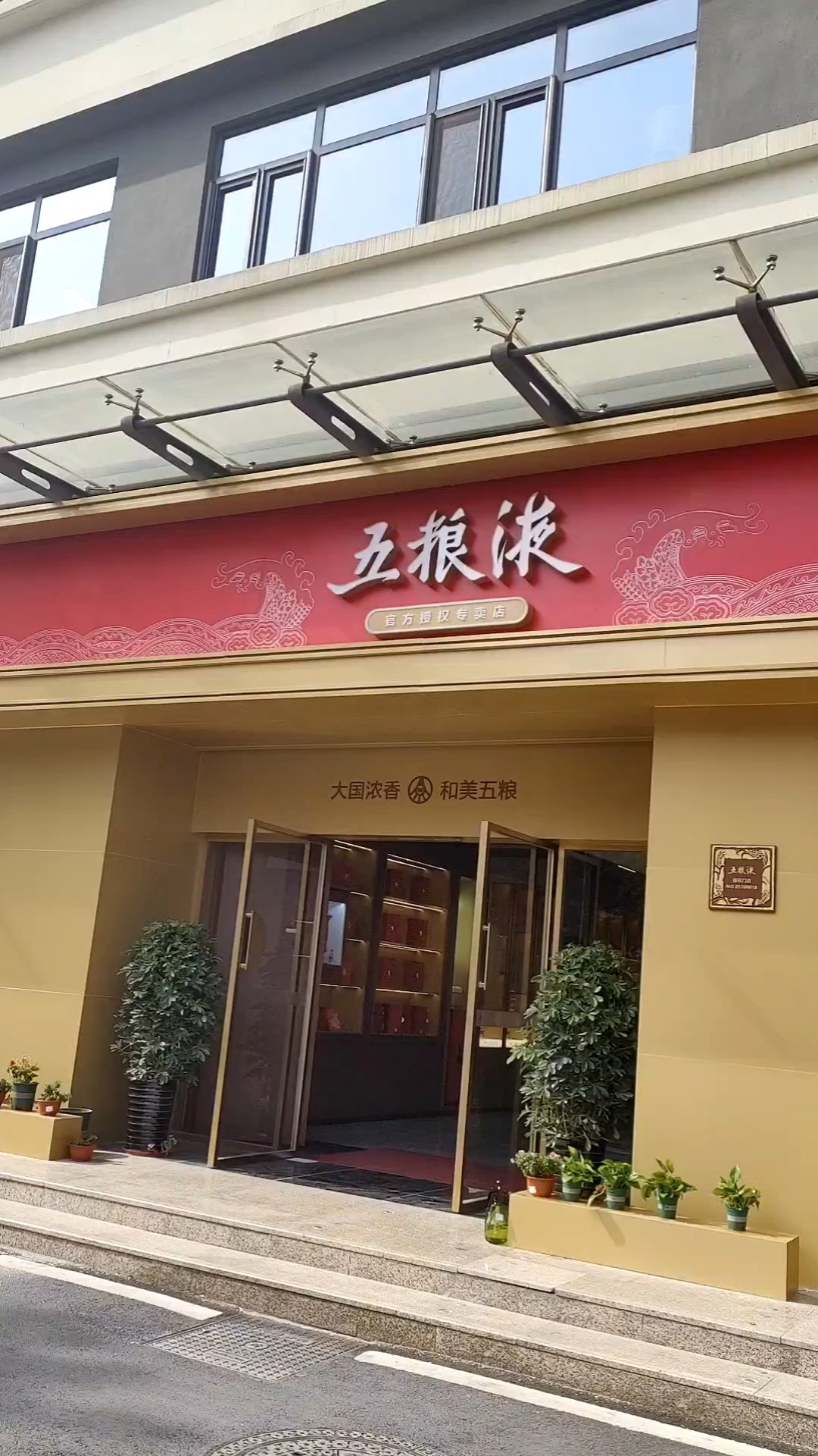 探店—五粮液专卖店
