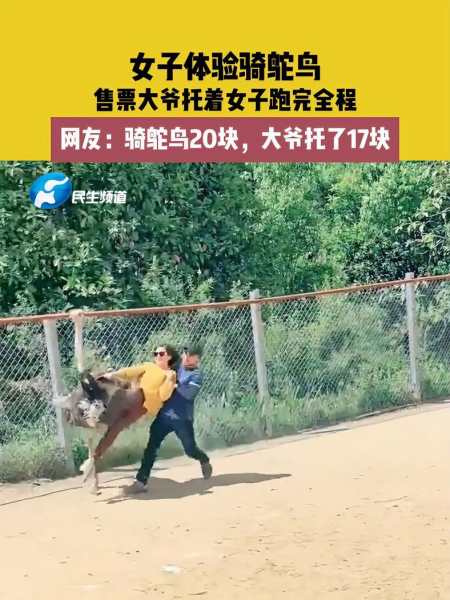 女子体验骑鸵鸟售票大爷托着女子跑完全程网友骑鸵鸟20块大爷托了17块