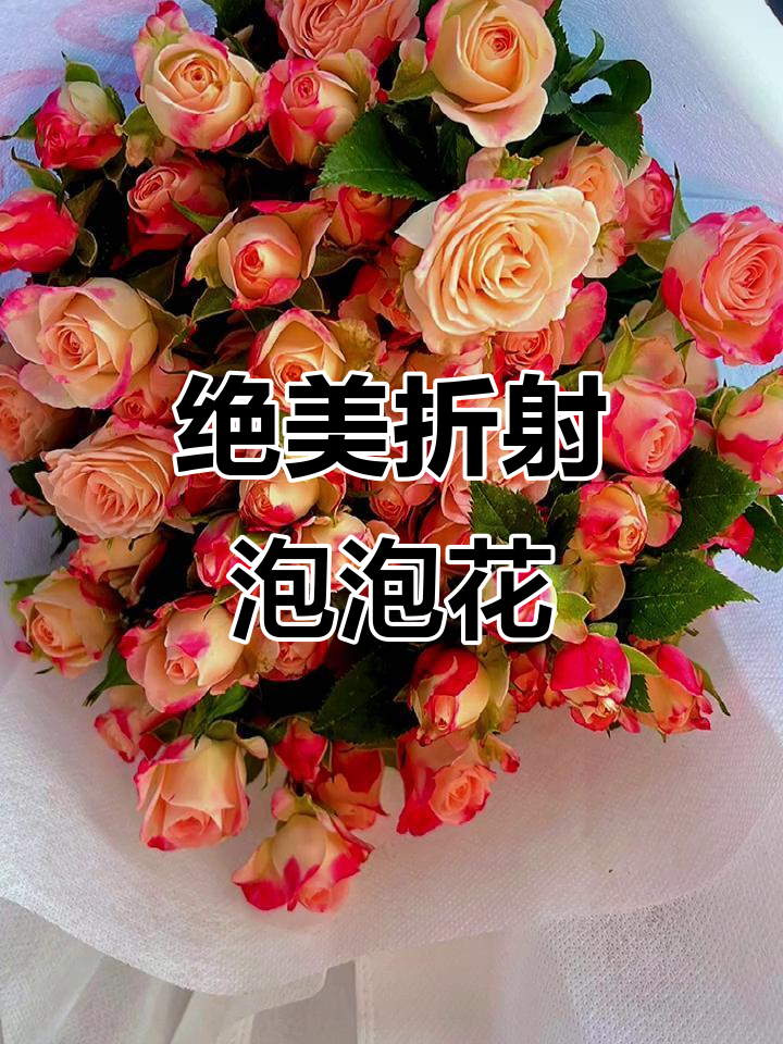 折射泡泡花,美丽瞬间不容错过