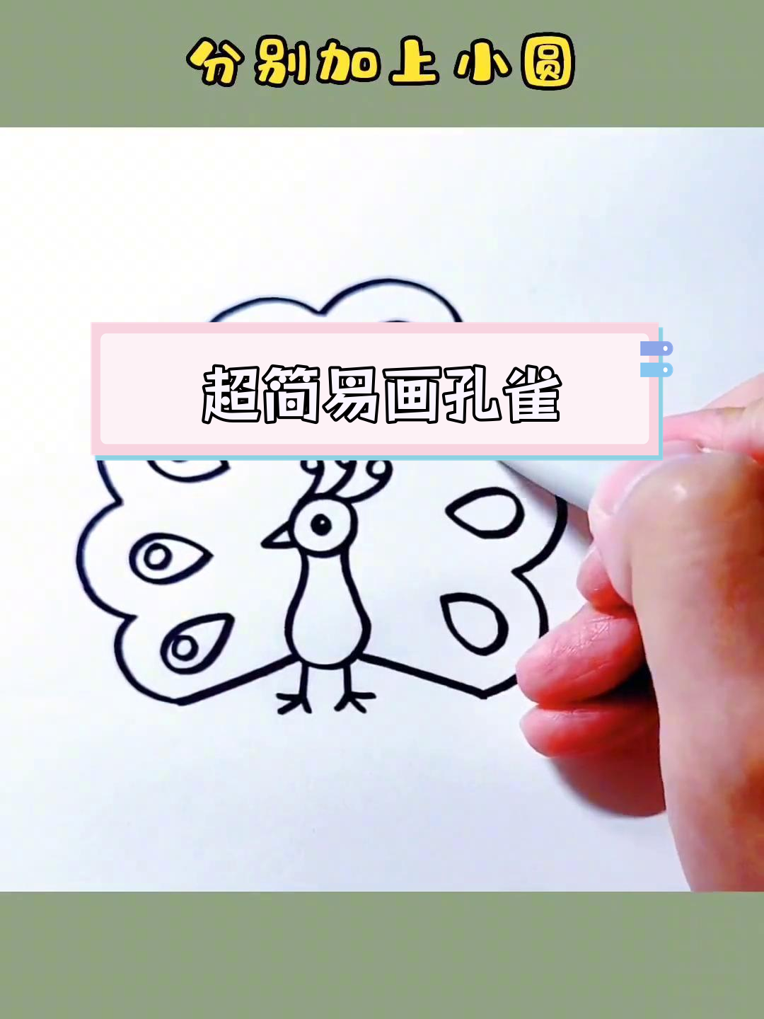 简单几步画出孔雀,轻松学会零基础简笔画