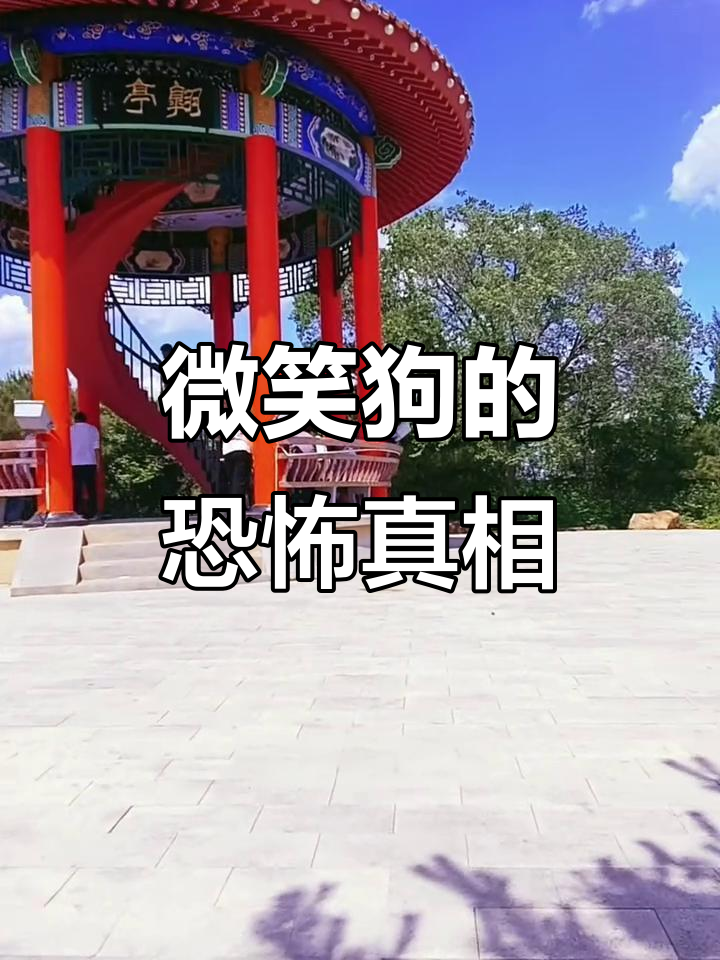 微笑狗现身野外,吓哭小玲玲!它的真实面目让人胆战心惊