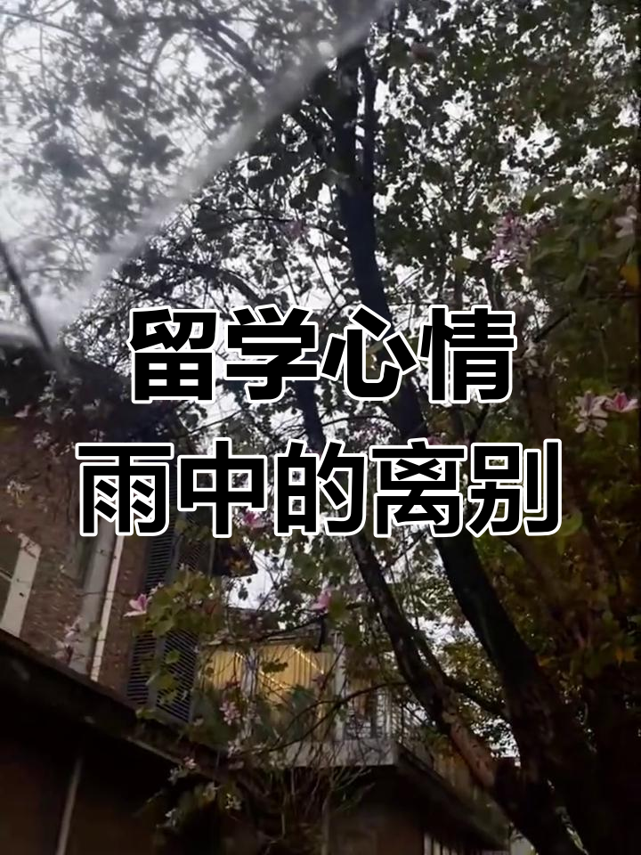 留学心情 留学心情